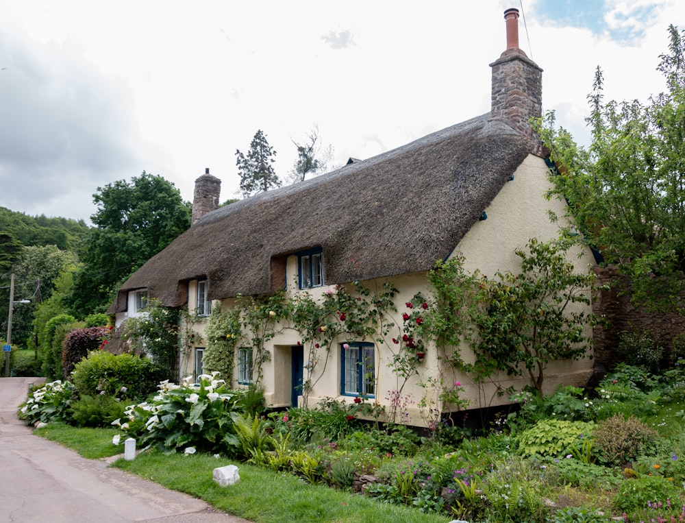 Thatched English cottage with red flowers and stone walls in summer
